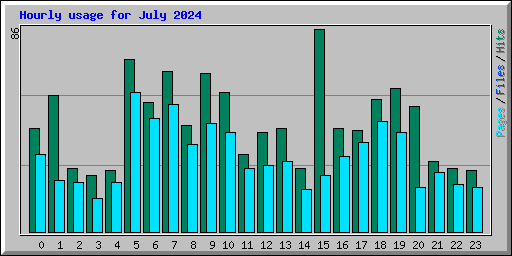 Hourly usage for July 2024