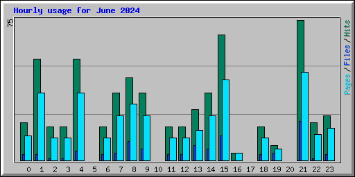 Hourly usage for June 2024