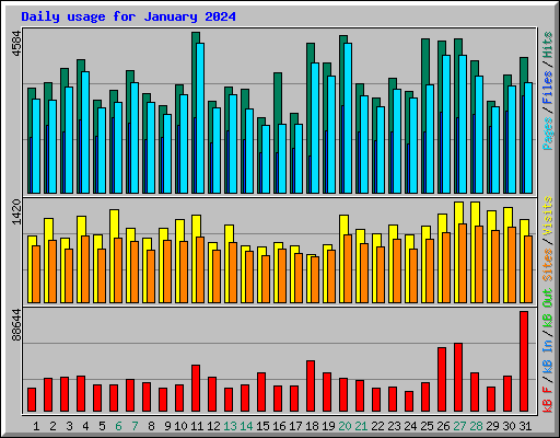 Daily usage for January 2024