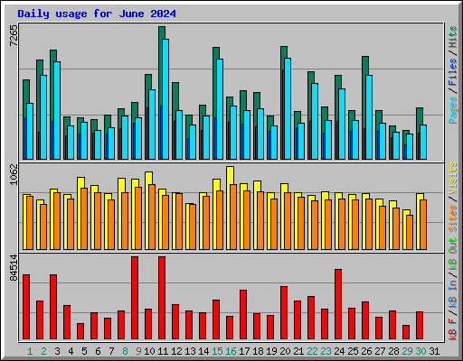 Daily usage for June 2024