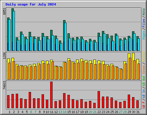 Daily usage for July 2024