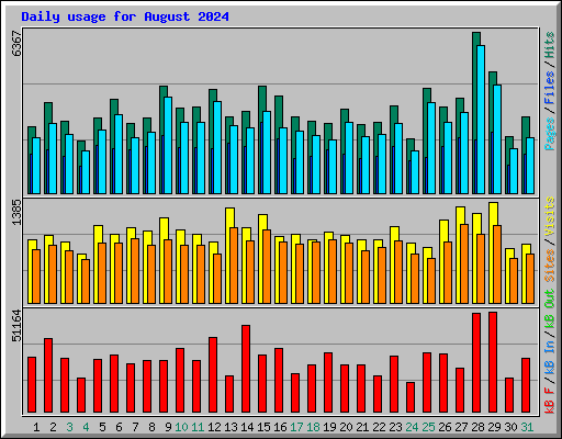 Daily usage for August 2024