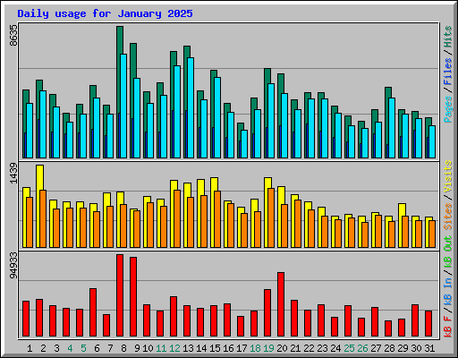 Daily usage for January 2025