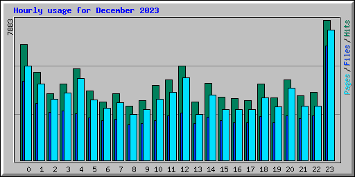 Hourly usage for December 2023