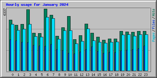 Hourly usage for January 2024