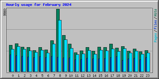 Hourly usage for February 2024