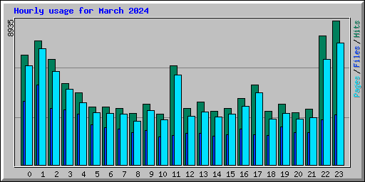 Hourly usage for March 2024