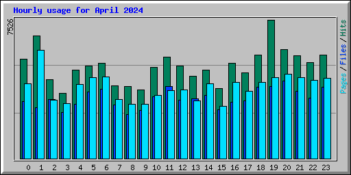 Hourly usage for April 2024