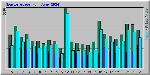 Hourly usage for June 2024