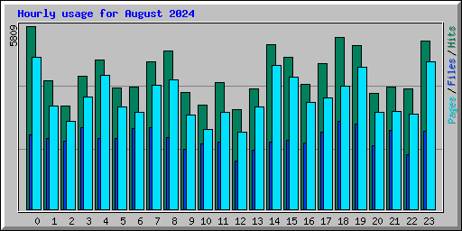 Hourly usage for August 2024