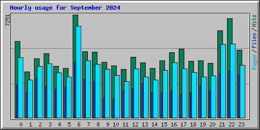 Hourly usage for September 2024