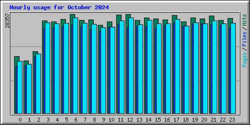 Hourly usage for October 2024