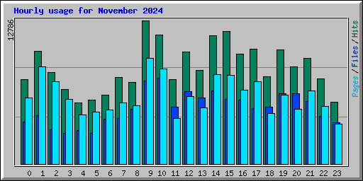 Hourly usage for November 2024