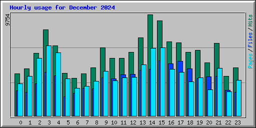 Hourly usage for December 2024