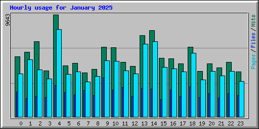 Hourly usage for January 2025