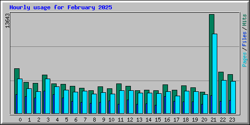 Hourly usage for February 2025