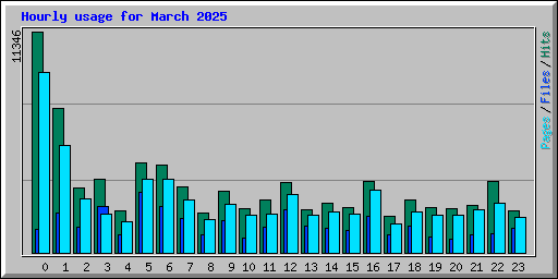 Hourly usage for March 2025